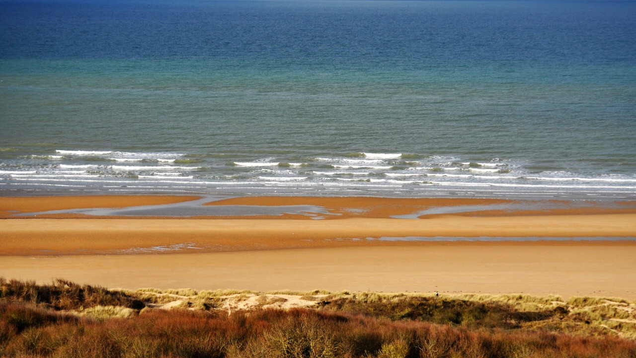 Photo of Others in Percy-en-Normandie