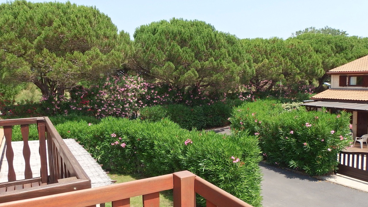 Photo of Outdoor in Portiragnes-Plage