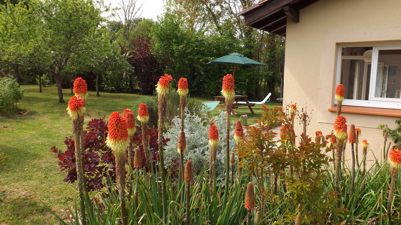 Photo of Outdoor in Cahuzac