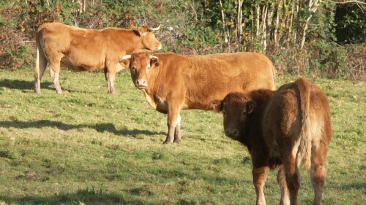 Photo of Outdoor in Le Vibal