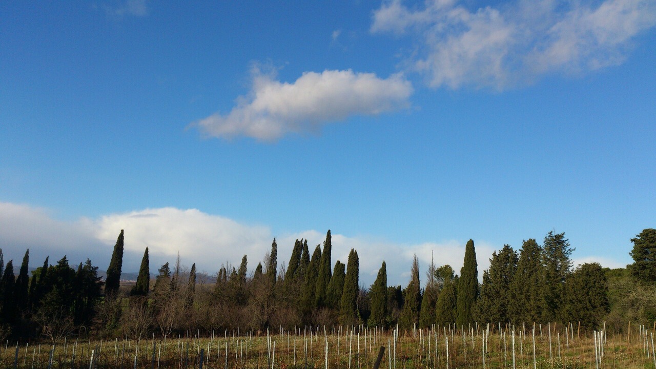 Photo of Outdoor in Pezenas