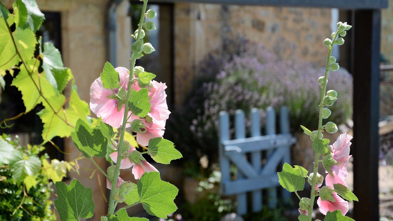 Photo of Outdoor in Beynac-et-Cazenac