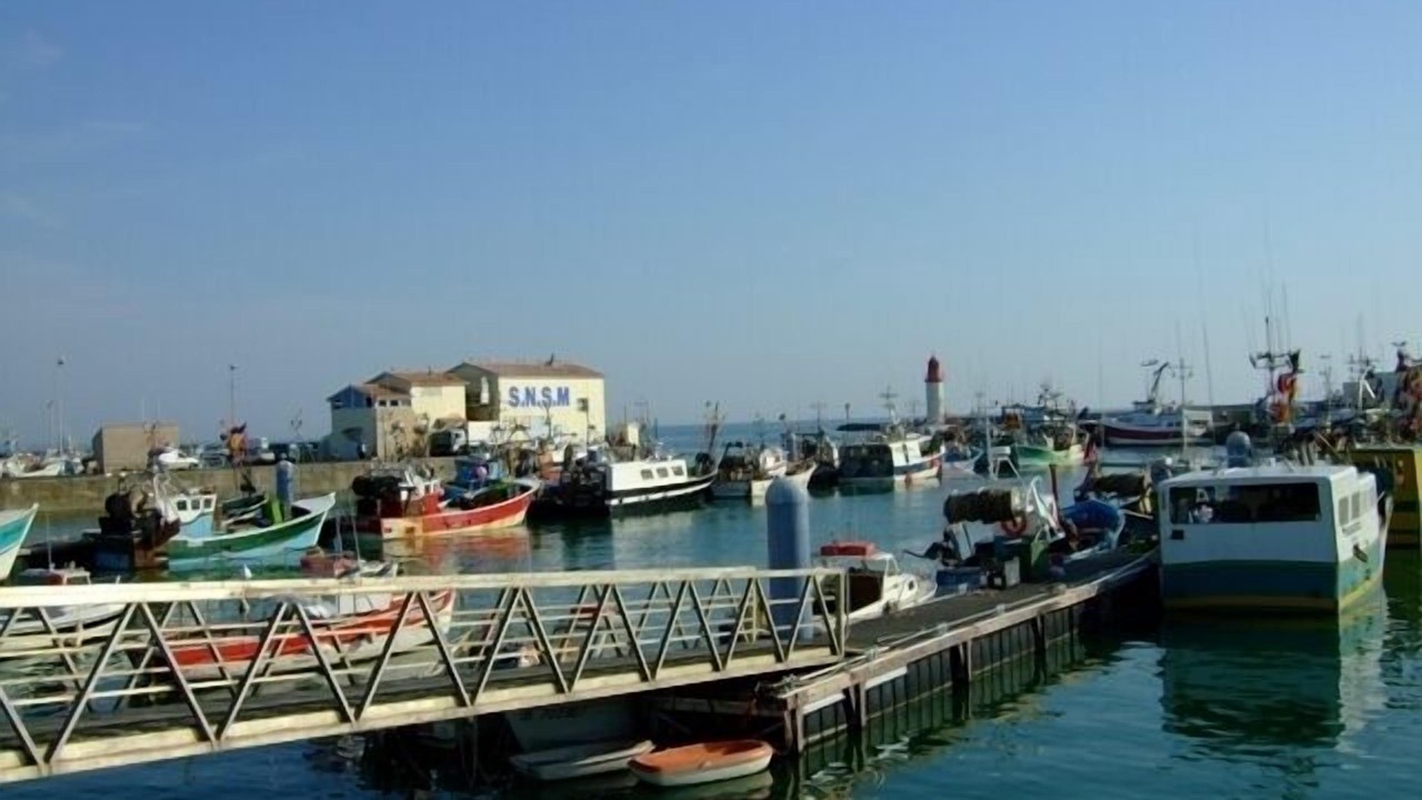 Photo of Others in La Cotiniere