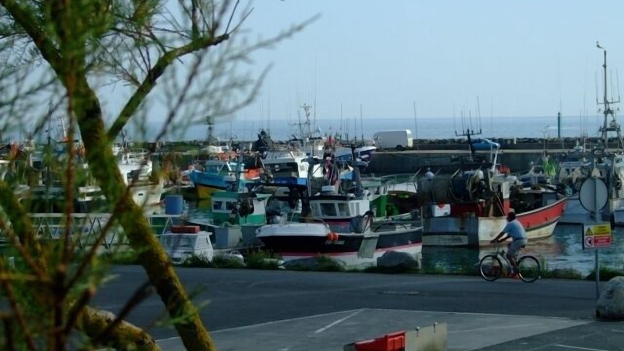 Photo of Others in La Cotiniere