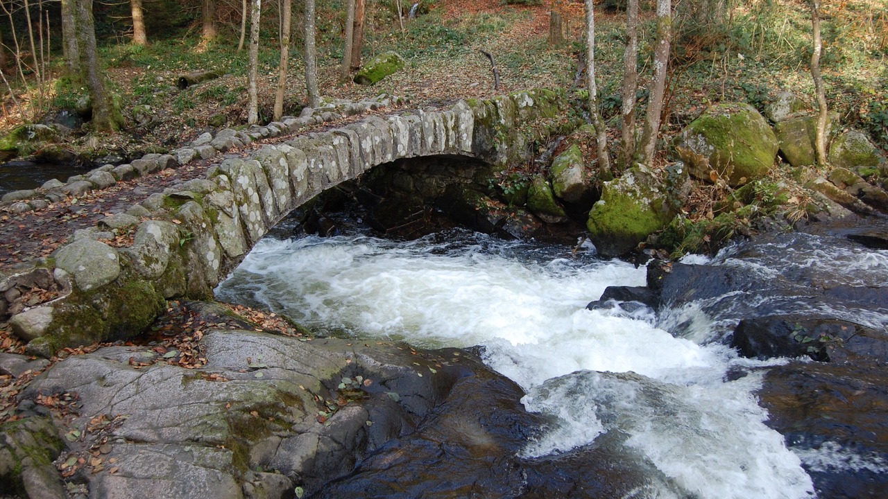 Photo of Outdoor in Xonrupt-Longemer