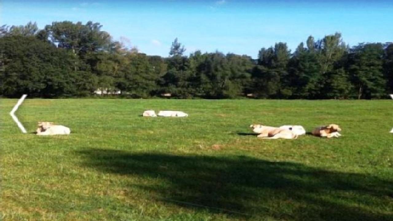 Photo of Others in Aramits