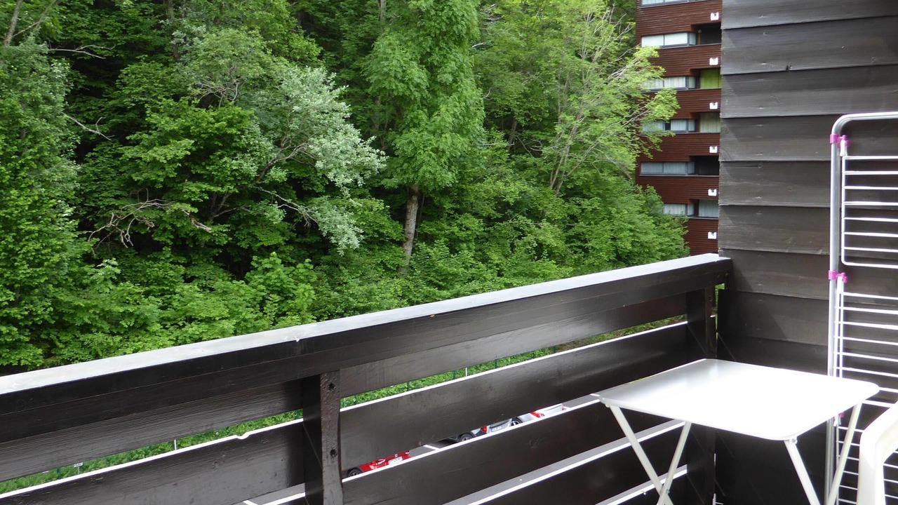 Photo of Outdoor in Mont-Dore