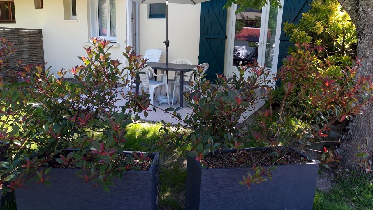 Photo of Outdoor in Saint-Julien-en-Born