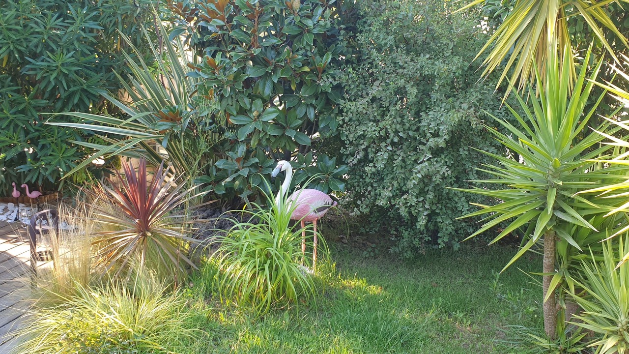 Photo of Outdoor in Ollioules