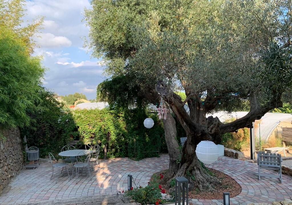 Photo of Outdoor in Ollioules
