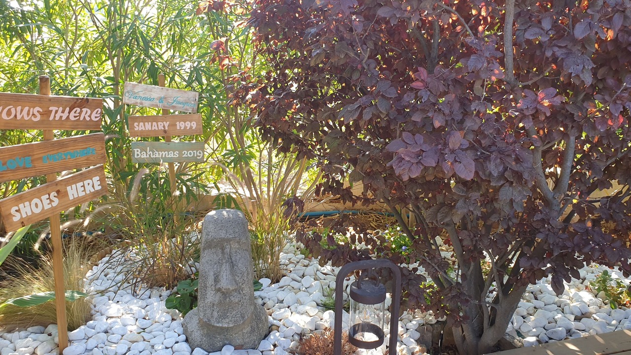 Photo of Outdoor in Ollioules