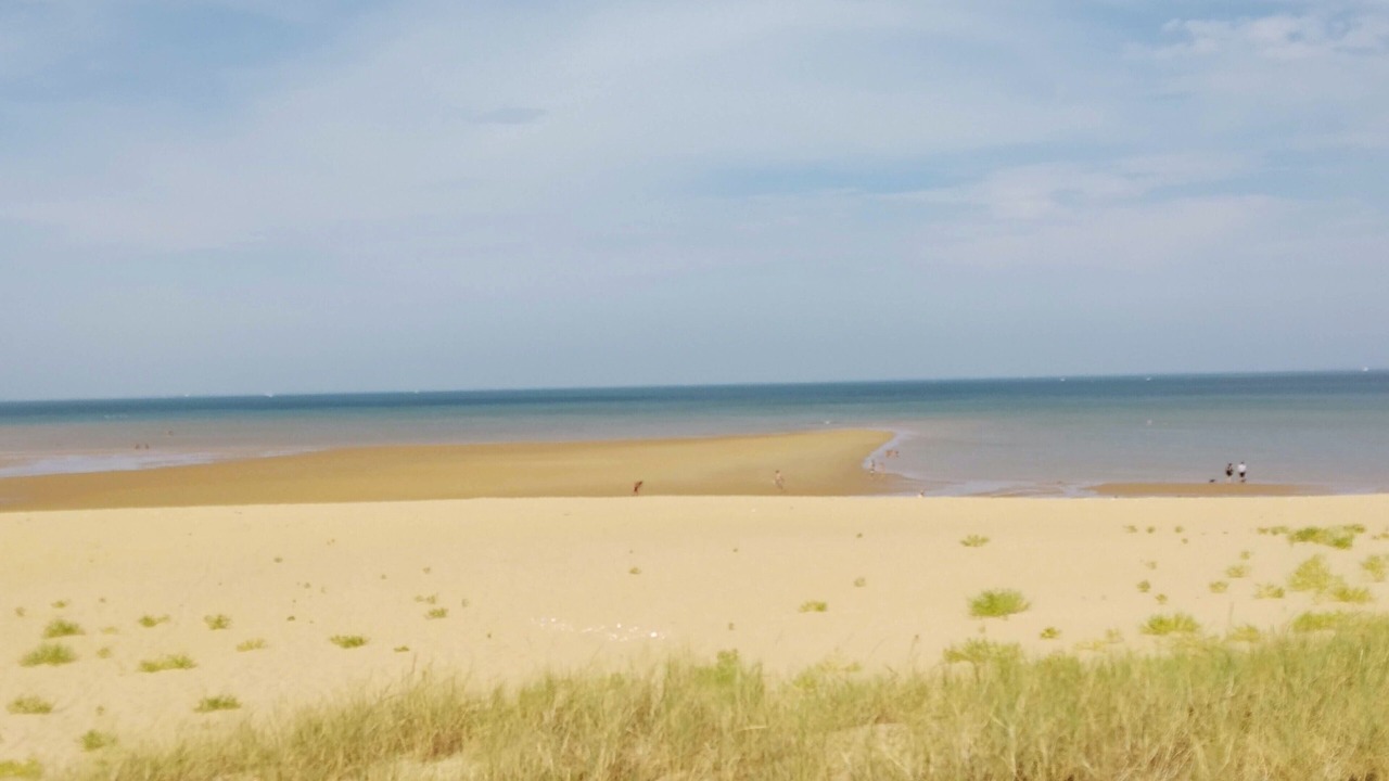Photo of Others in Saint-Georges-d'Oleron