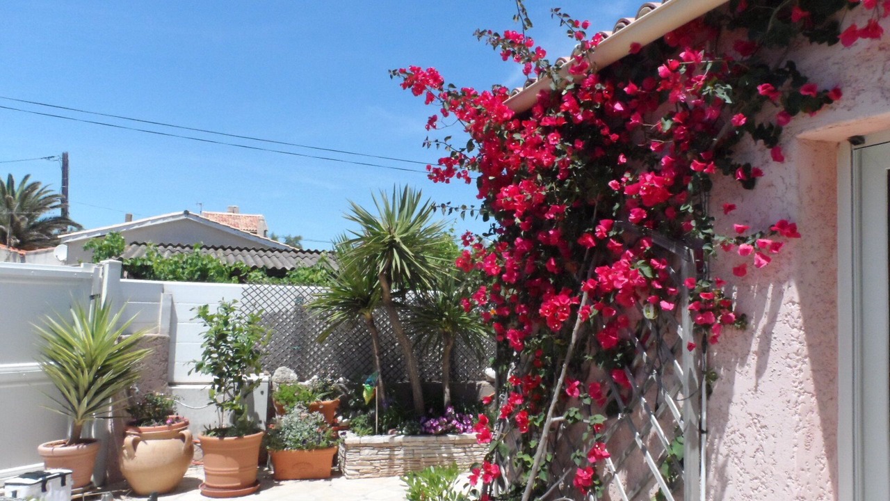 Photo of Outdoor in Frontignan