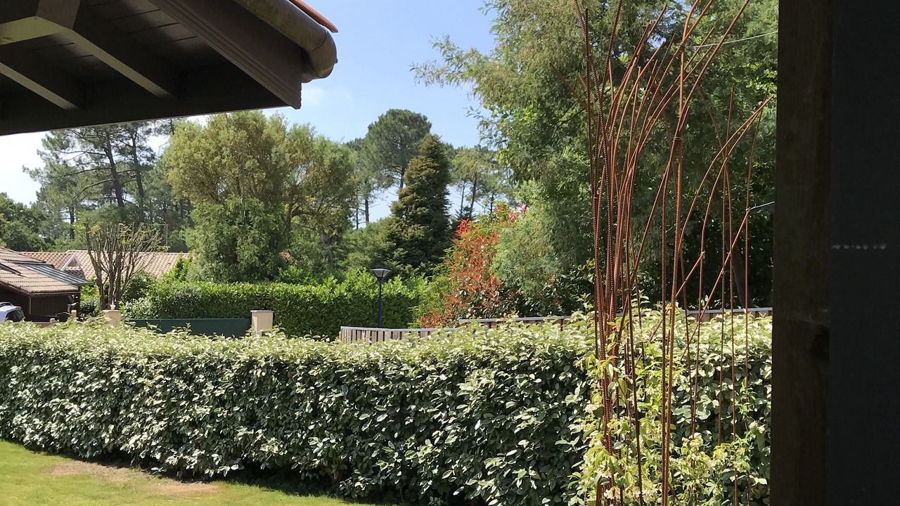 Photo of Outdoor in Capbreton