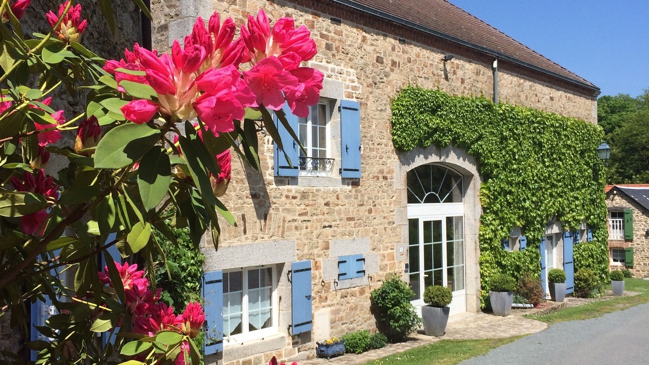 Photo of Outdoor in Jouillat