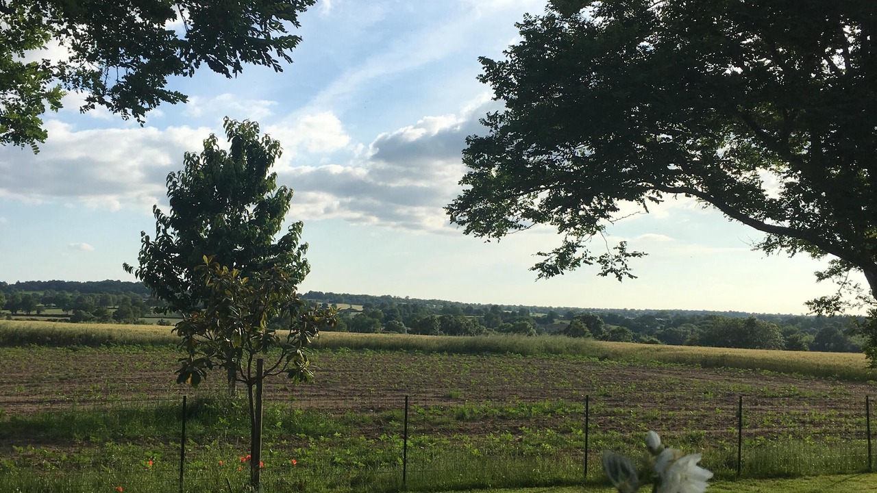Photo of Outdoor in Mauleon
