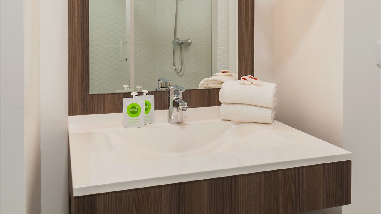 Photo of Bathroom in Talence