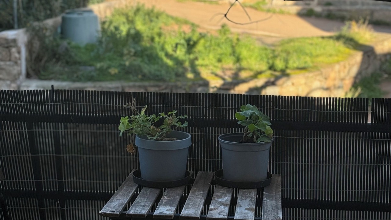 Photo of Patio Balcony in Monacia-d'Aullene