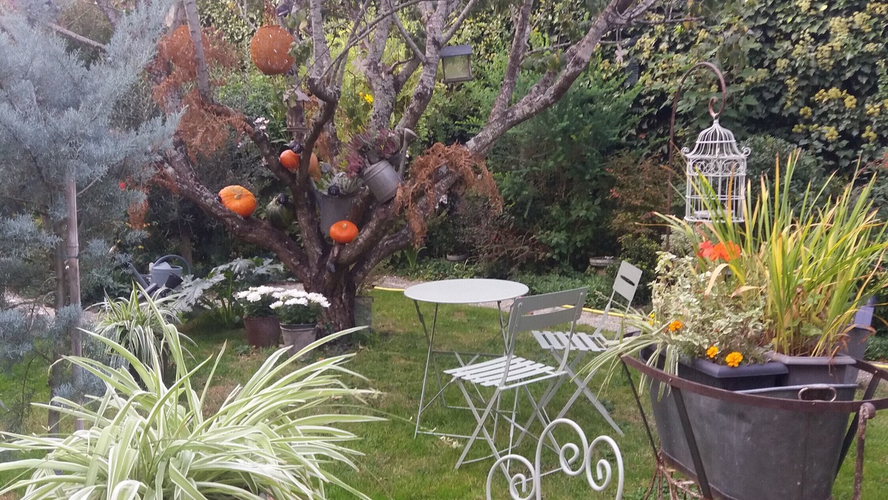 Photo of Patio Balcony in Saint-Aignan