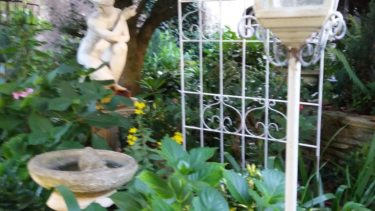 Photo of Outdoor in Saint-Aignan