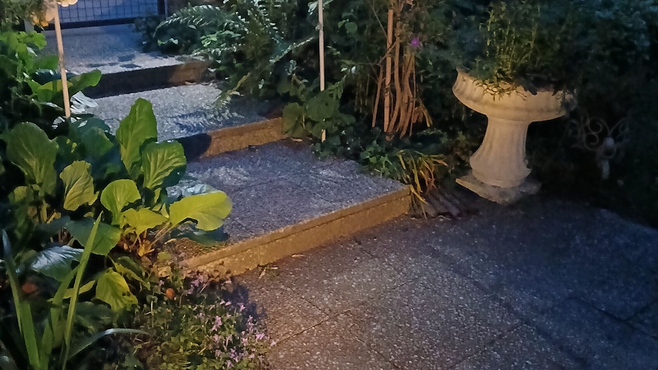 Photo of Outdoor in Saint-Aignan