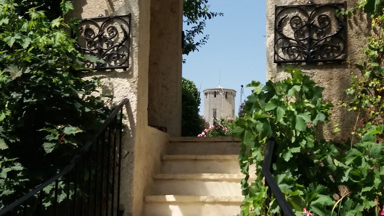 Photo of Outdoor in Saint-Aignan