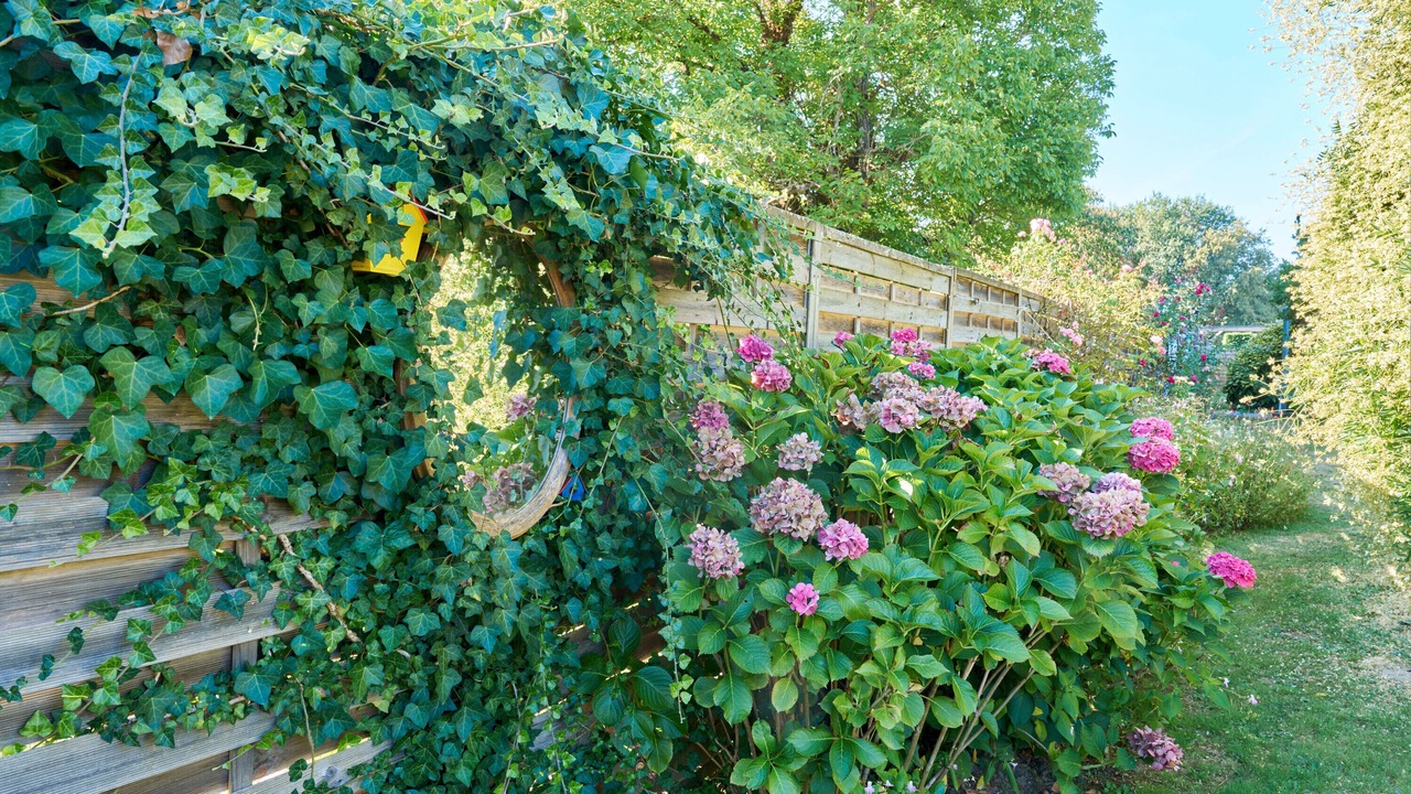 Photo of Outdoor in Mouleydier