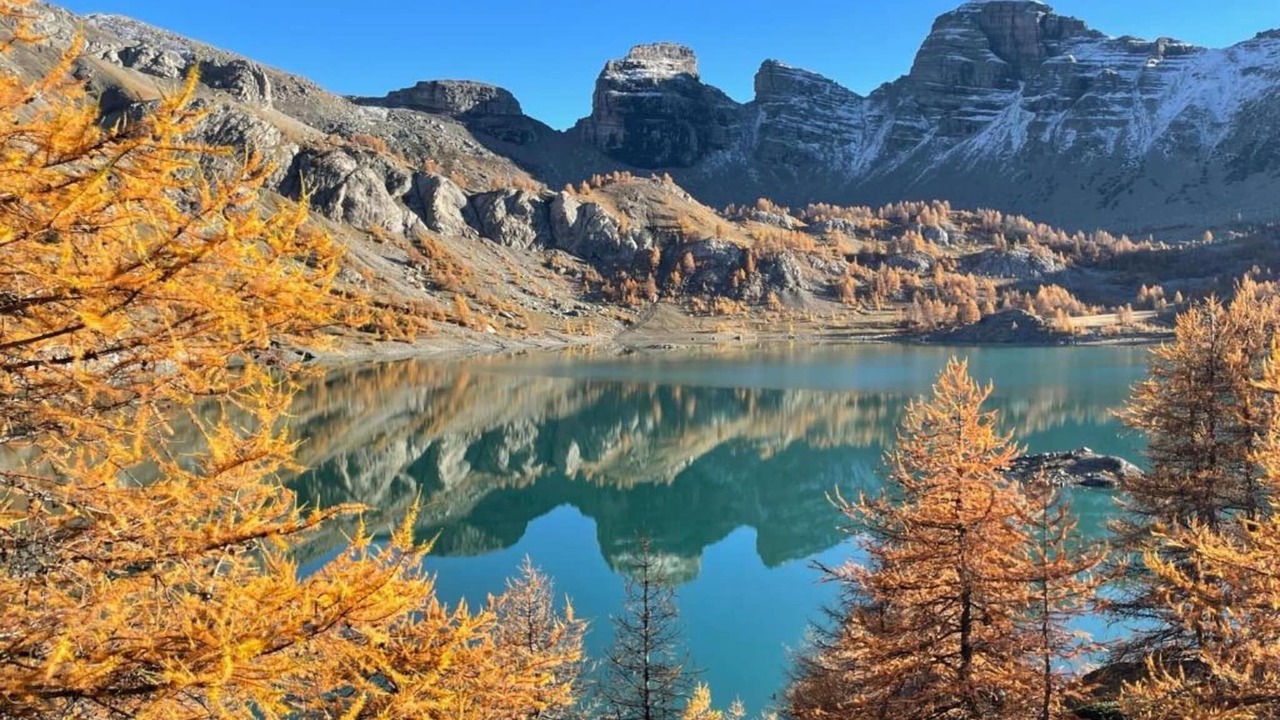 Photo of Others in Allos