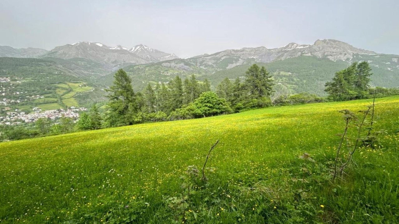 Photo of Others in Allos