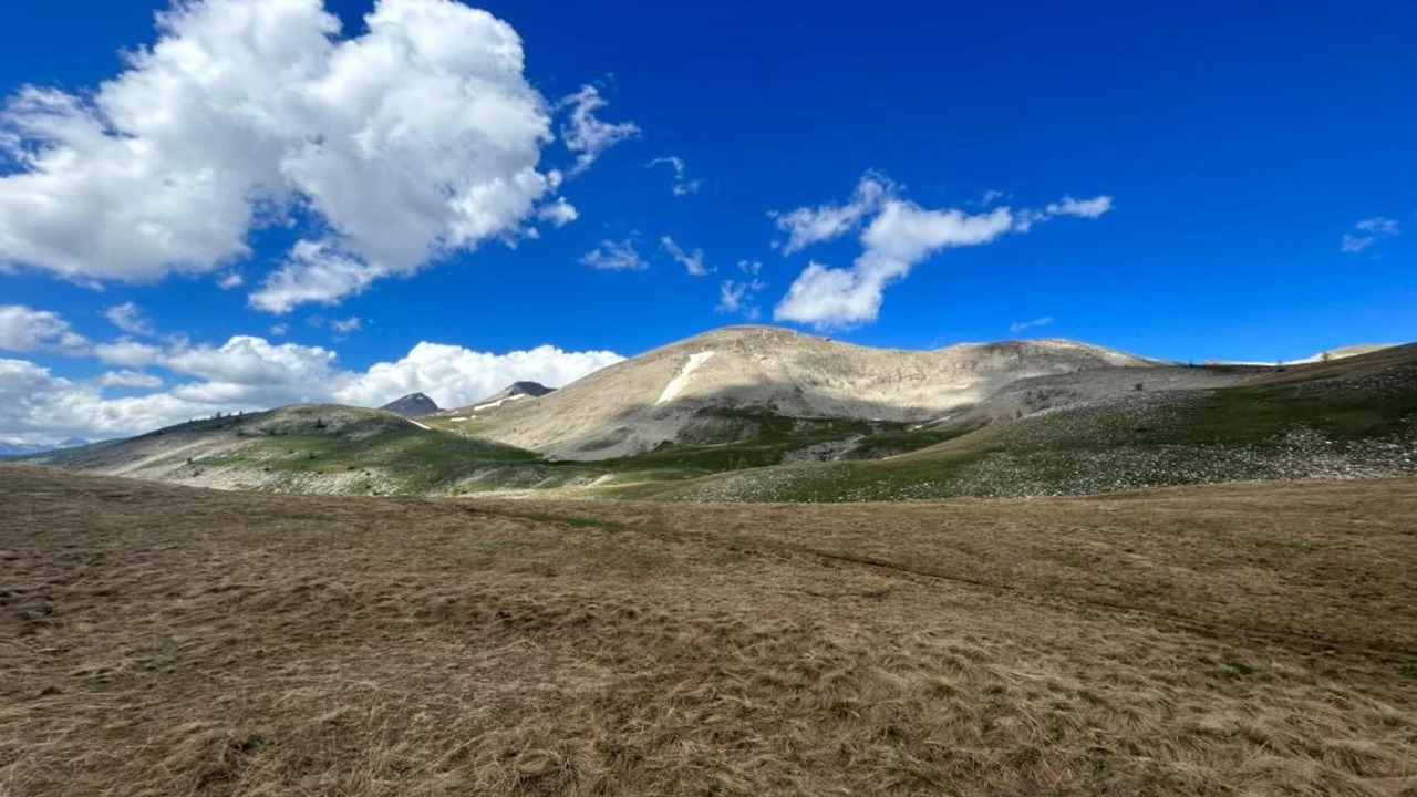 Photo of Others in Allos