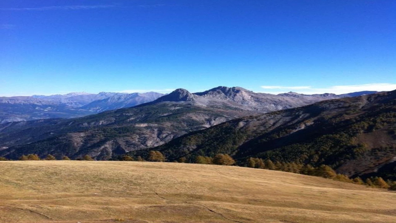 Photo of Others in Allos
