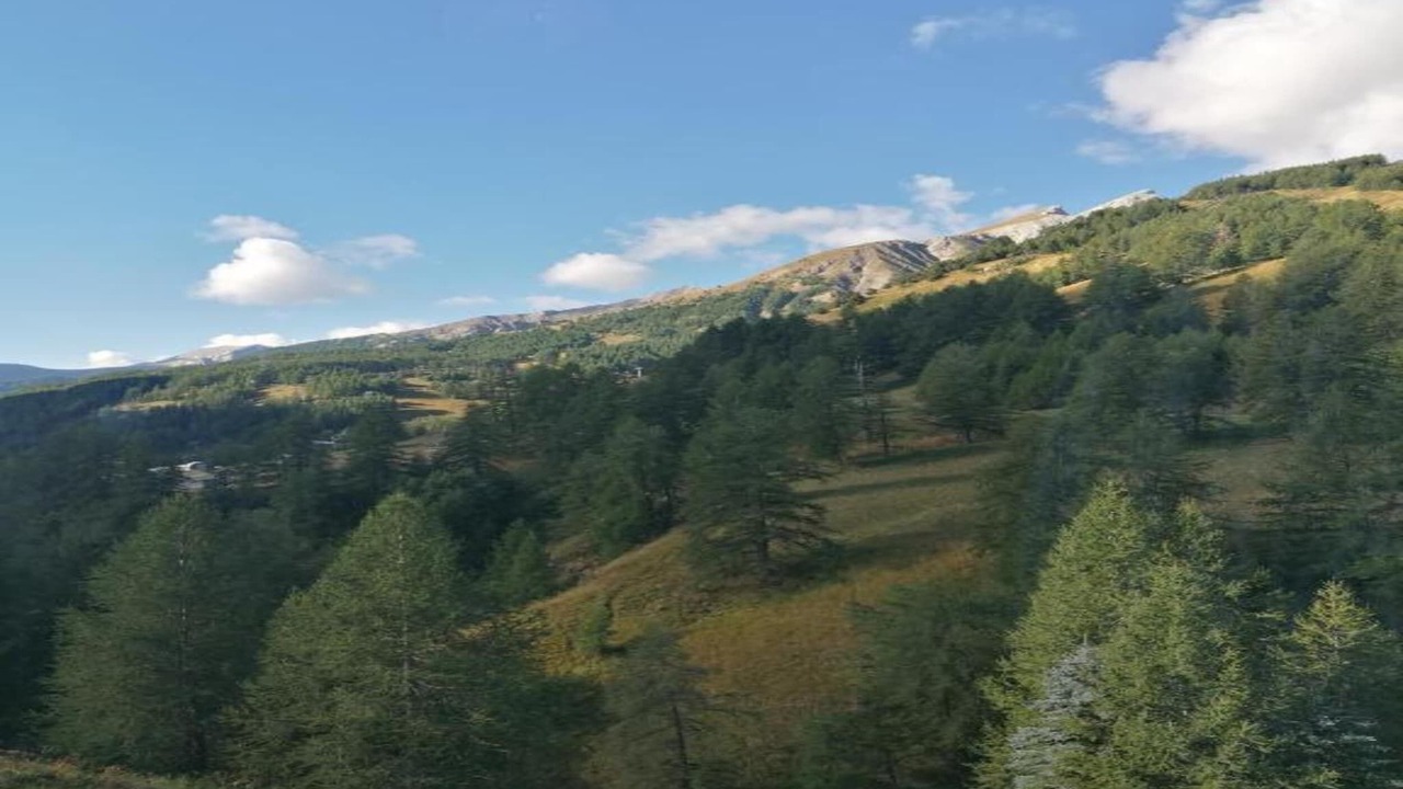 Photo of Others in Allos