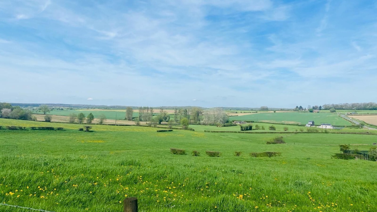 Photo of Others in Sains-du-Nord