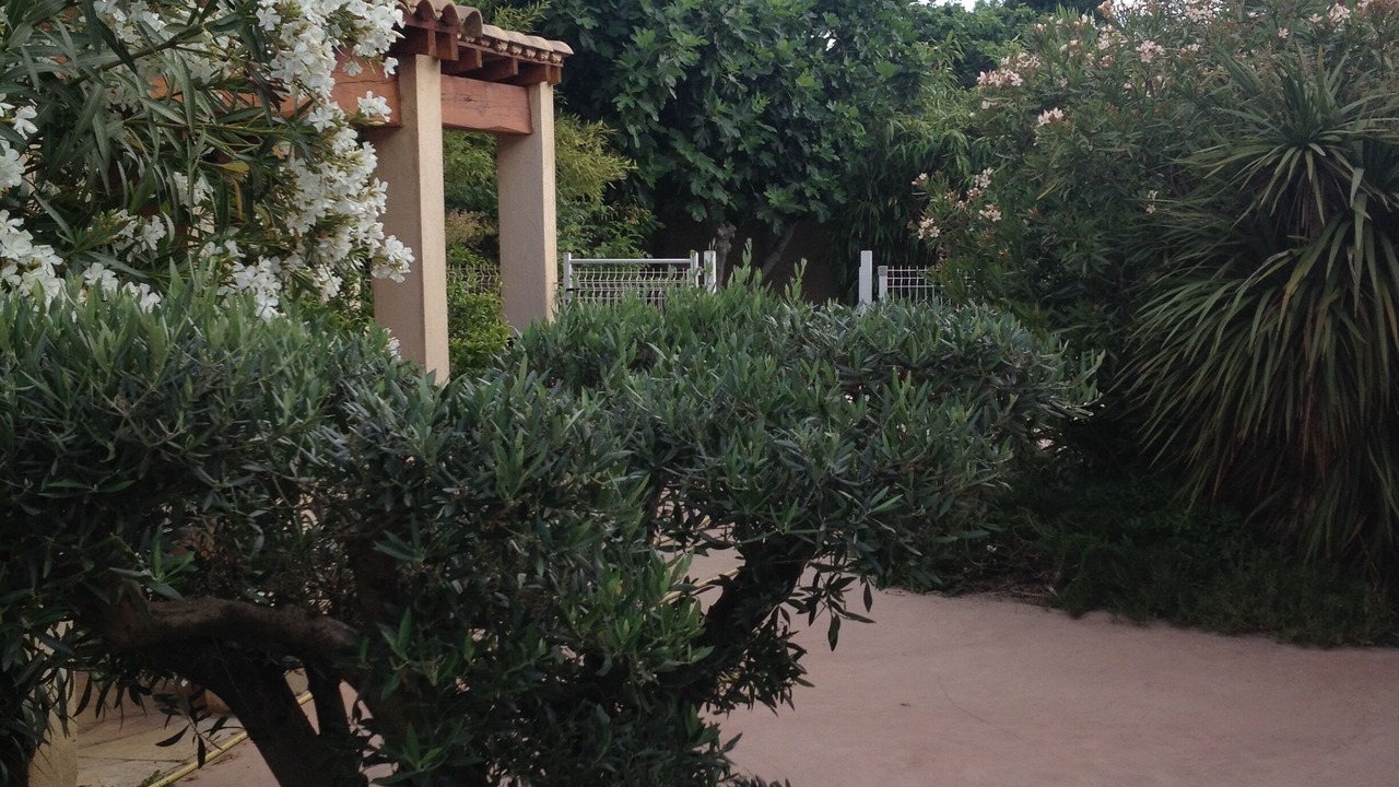 Photo of Outdoor in Fabregues