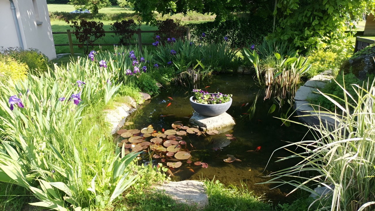 Photo of Outdoor in Manzat