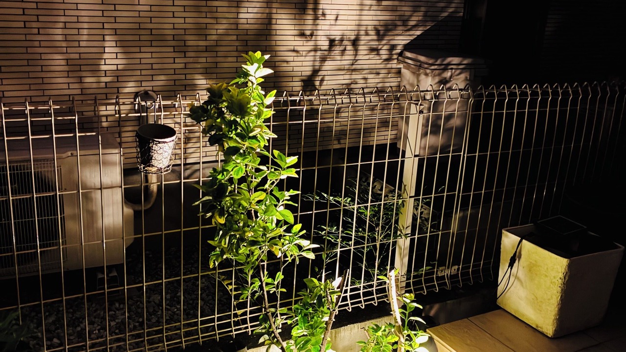 Photo of Outdoor in Maihama