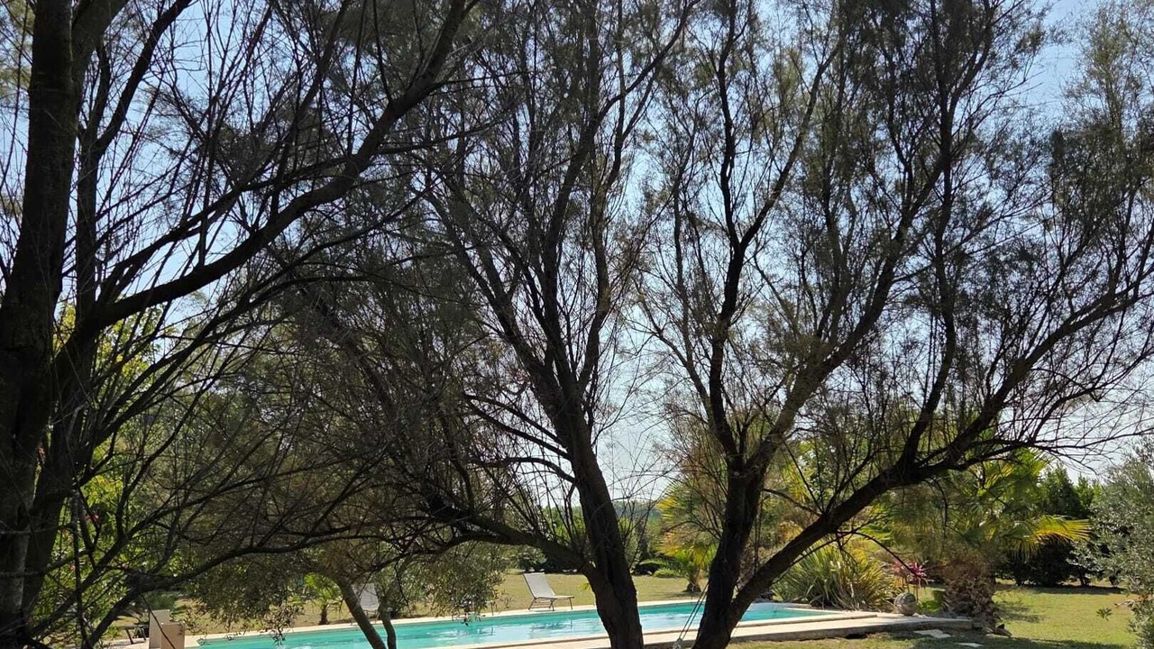 Photo of Outdoor in Albaron