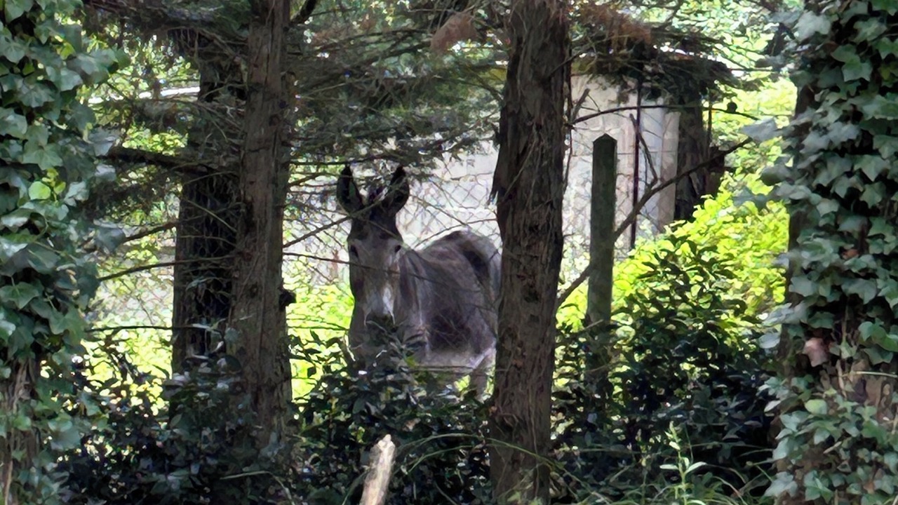 Photo of Others in Mareuil-sur-Cher