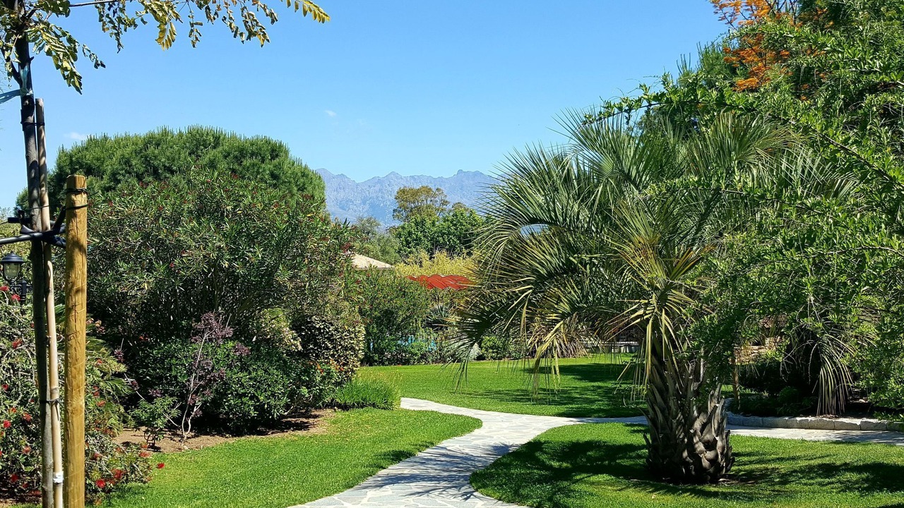 Photo of Outdoor in Calvi