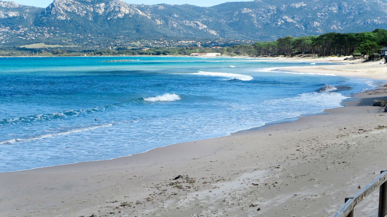 Photo of Others in Calvi