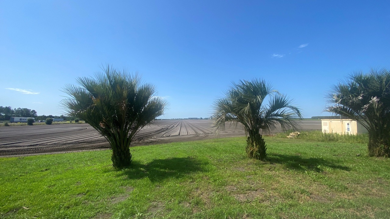 Photo of Outdoor in Liposthey