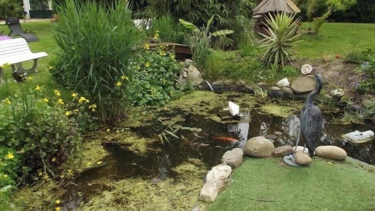 Photo of Outdoor in Cellettes