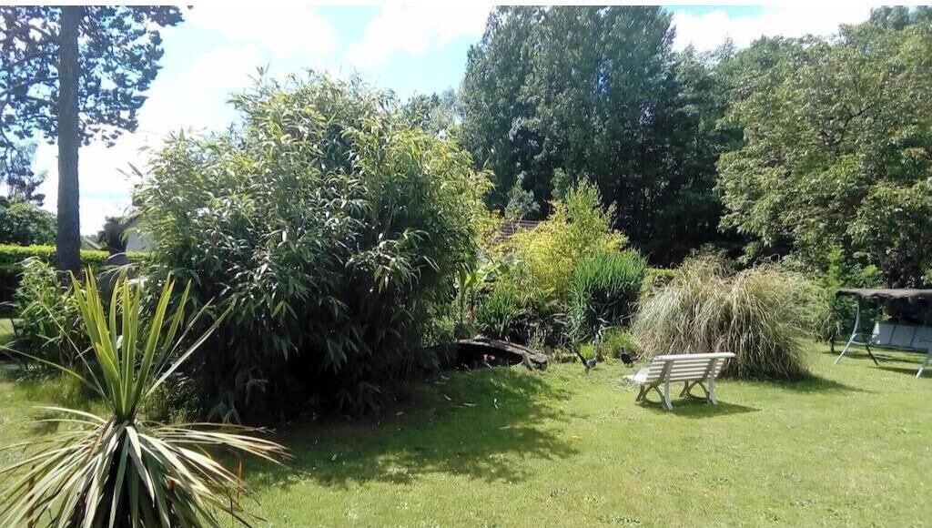Photo of Outdoor in Cellettes