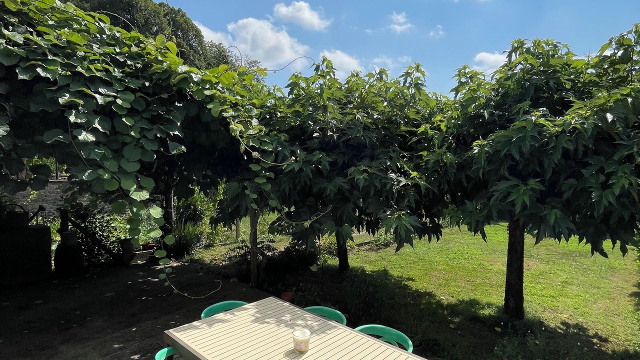 Photo of Outdoor in Monceaux-sur-Dordogne