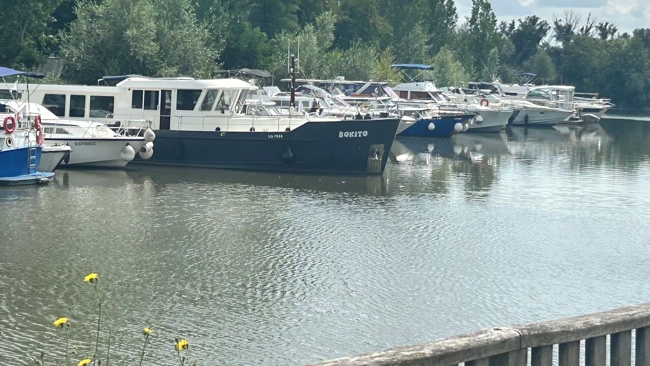 Photo of Others in Basse-Ham