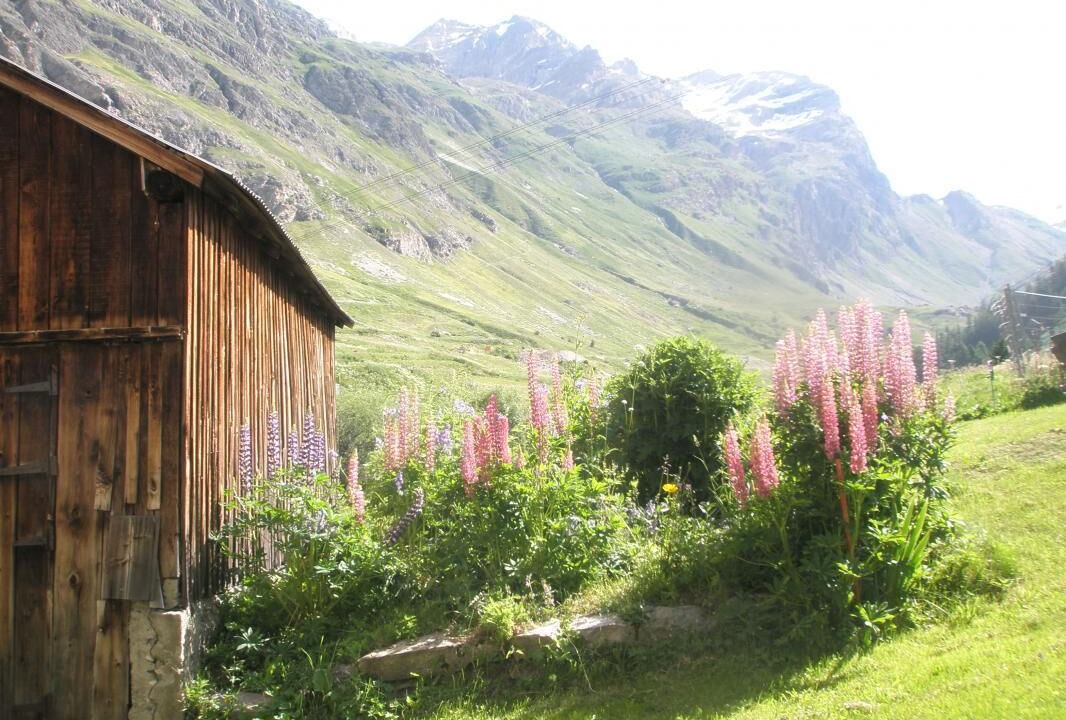 Photo of Bedroom in Le Fornet