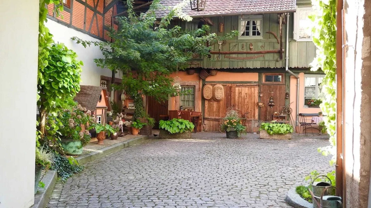 Photo of Outdoor in Kientzheim
