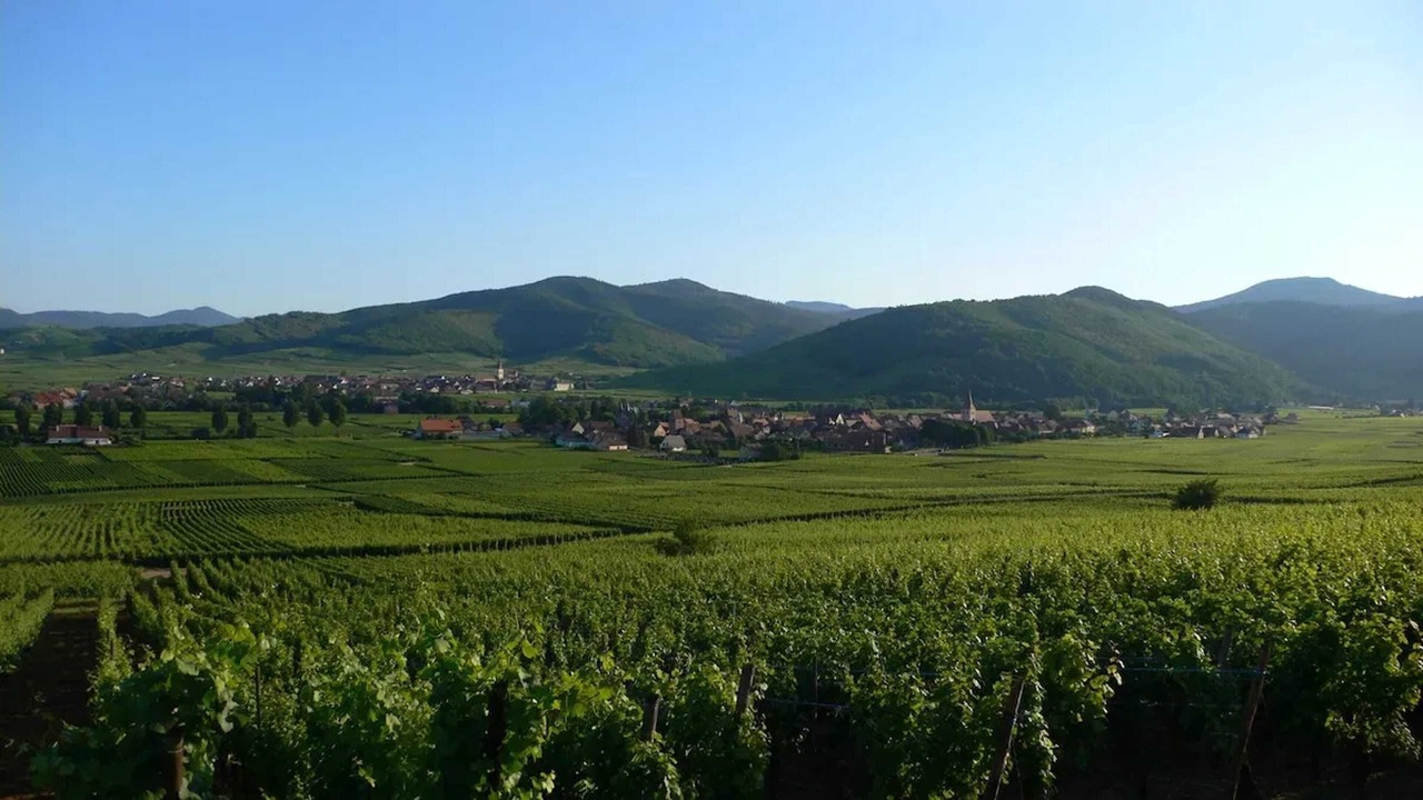 Photo of Others in Kientzheim