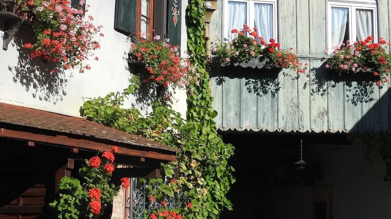 Photo of Outdoor in Kientzheim