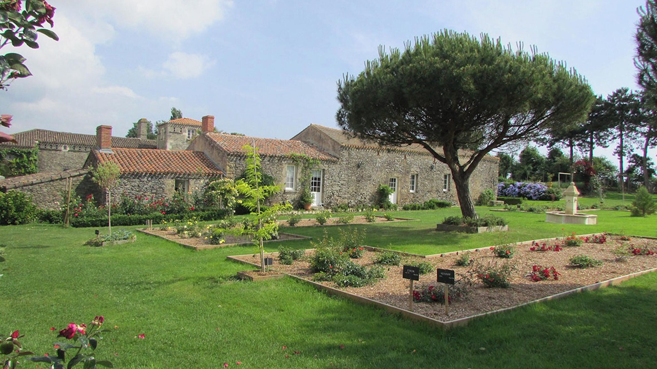 Photo of Others in Landevieille